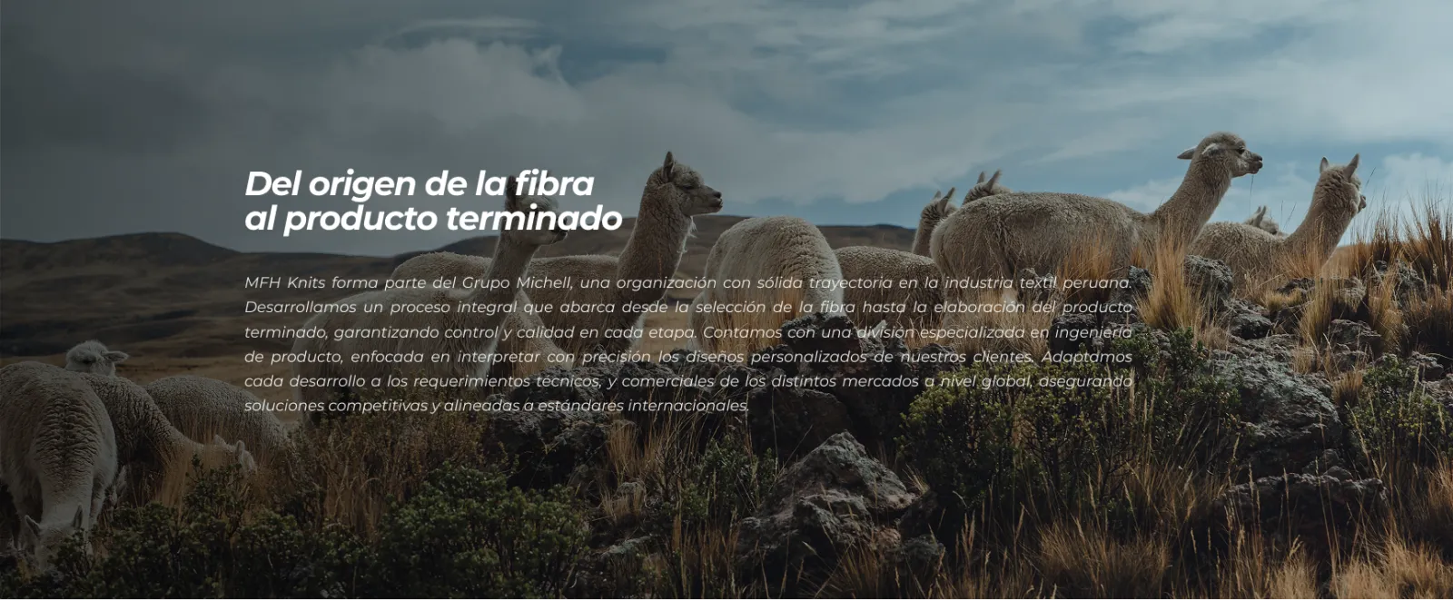 MFH Knits, Sistema B2B: proyecto de Zebware